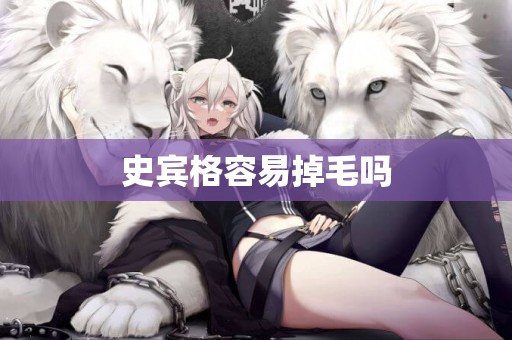 史賓格容易掉毛嗎