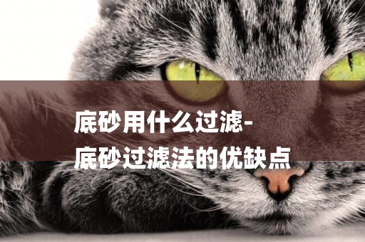 底砂用什么過濾-
底砂過濾法的優缺點