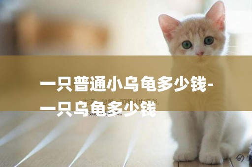 一只普通小烏龜多少錢-
一只烏龜多少錢