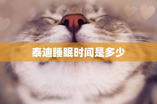 泰迪睡眠時間是多少