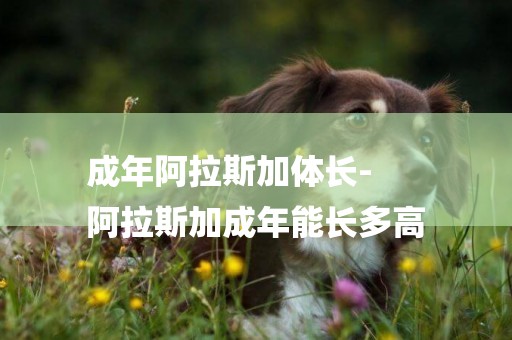 成年阿拉斯加體長-
阿拉斯加成年能長多高