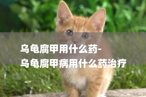 烏龜腐甲用什么藥-
烏龜腐甲病用什么藥治療