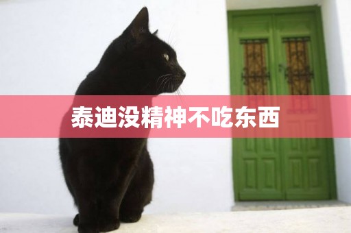 泰迪沒精神不吃東西