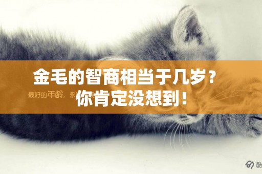 金毛的智商相當于幾歲？ 你肯定沒想到！