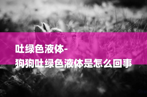 吐綠色液體-
狗狗吐綠色液體是怎么回事