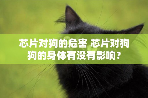 芯片對狗的危害 芯片對狗狗的身體有沒有影響？