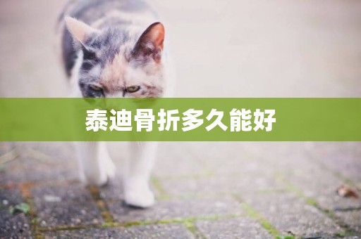 泰迪骨折多久能好