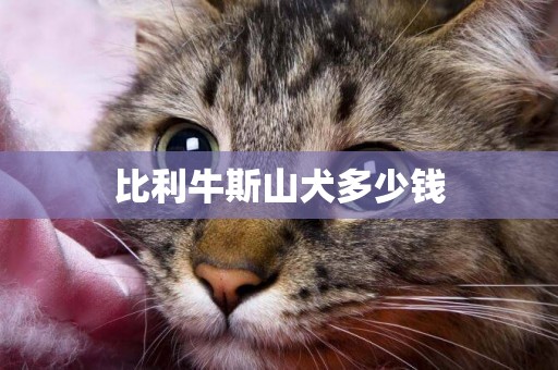比利牛斯山犬多少錢