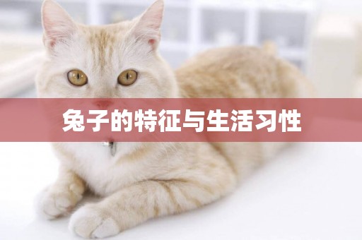 兔子的特征與生活習性