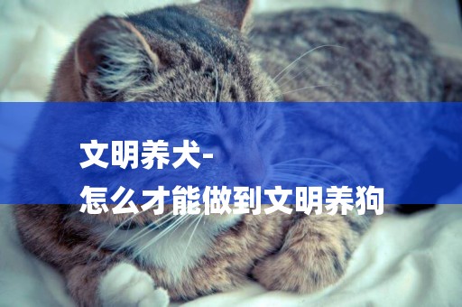 文明養犬-
怎么才能做到文明養狗