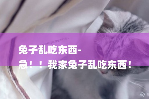 兔子亂吃東西-
急！！我家兔子亂吃東西！