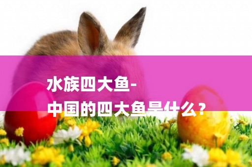 水族四大魚-
中國的四大魚是什么？