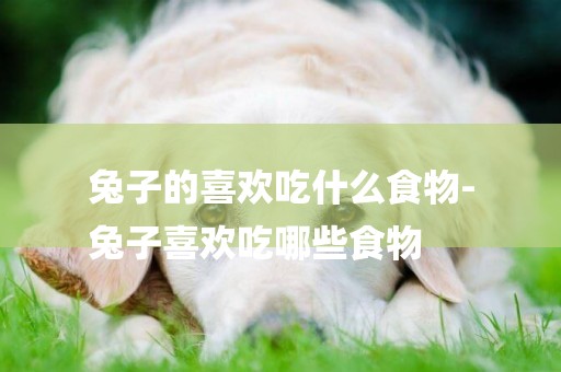 兔子的喜歡吃什么食物-
兔子喜歡吃哪些食物