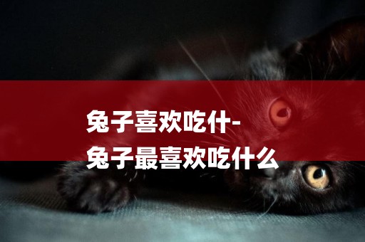 兔子喜歡吃什-
兔子最喜歡吃什么