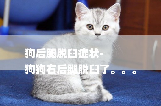 狗后腿脫臼癥狀-
狗狗右后腿脫臼了。。。