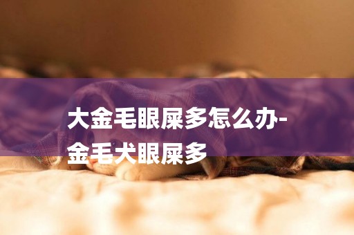 大金毛眼屎多怎么辦-
金毛犬眼屎多