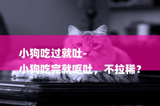小狗吃過就吐-
小狗吃完就嘔吐，不拉稀？