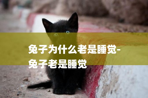 兔子為什么老是睡覺-
兔子老是睡覺