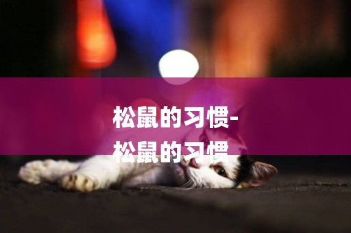 松鼠的習慣-
松鼠的習慣