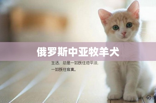 俄羅斯中亞牧羊犬