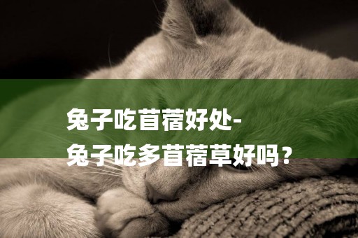 兔子吃苜蓿好處-
兔子吃多苜蓿草好嗎？