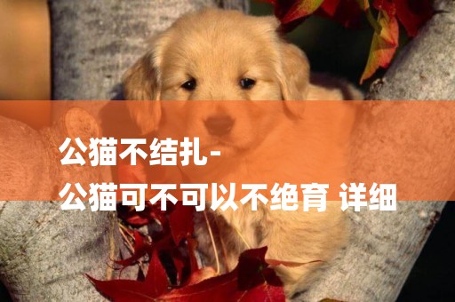 公貓不結扎-
公貓可不可以不絕育 詳細