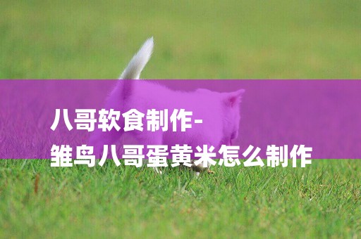 八哥軟食制作-
雛鳥八哥蛋黃米怎么制作