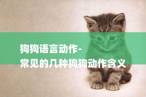 狗狗語言動作-
常見的幾種狗狗動作含義