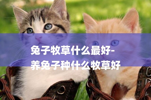 兔子牧草什么最好-
養兔子種什么牧草好