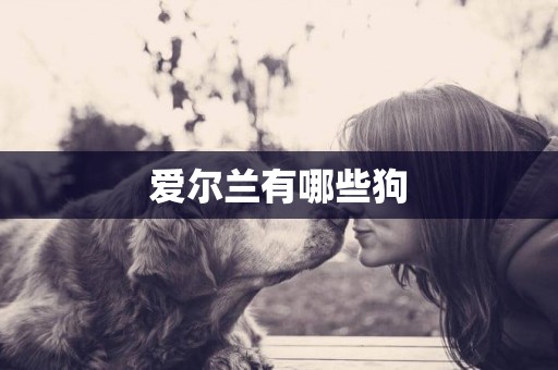 愛爾蘭有哪些狗
