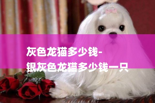 灰色龍貓多少錢-
銀灰色龍貓多少錢一只