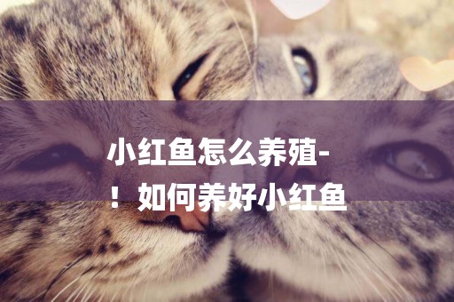 小紅魚怎么養殖-
！如何養好小紅魚