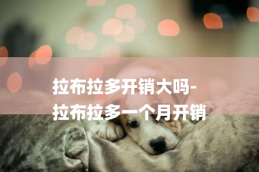 拉布拉多開銷大嗎-
拉布拉多一個月開銷