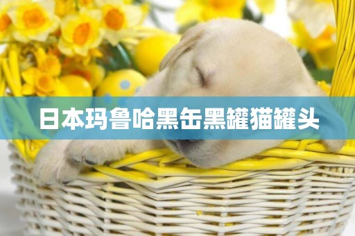 日本瑪魯哈黑缶黑罐貓罐頭