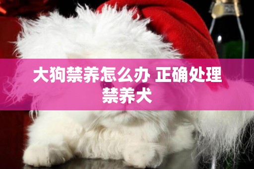 大狗禁養怎么辦 正確處理禁養犬