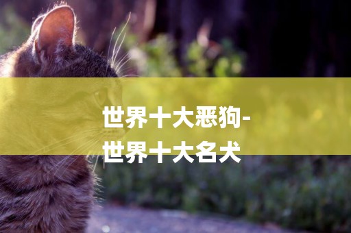 世界十大惡狗-
世界十大名犬