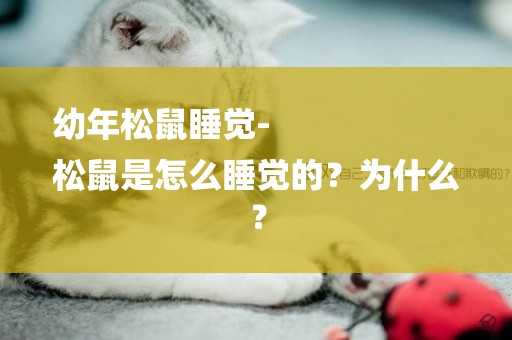 幼年松鼠睡覺-
松鼠是怎么睡覺的？為什么？