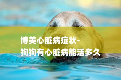 博美心臟病癥狀-
狗狗有心臟病能活多久