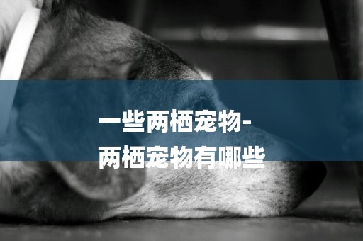 一些兩棲寵物-
兩棲寵物有哪些