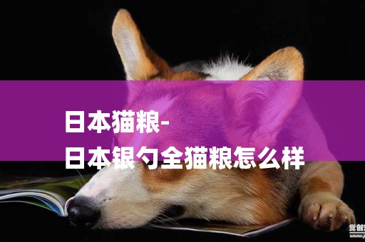 日本貓糧-
日本銀勺全貓糧怎么樣
