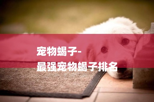寵物蝎子-
最強寵物蝎子排名