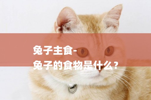 兔子主食-
兔子的食物是什么？