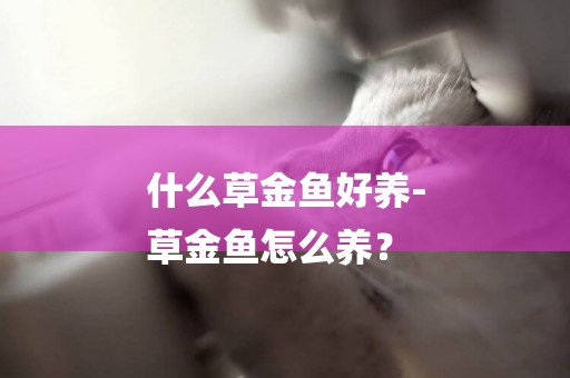 什么草金魚好養-
草金魚怎么養？