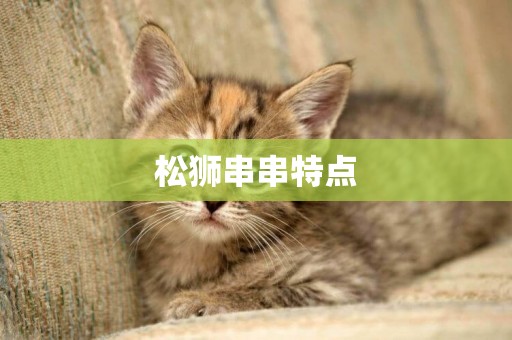 松獅串串特點