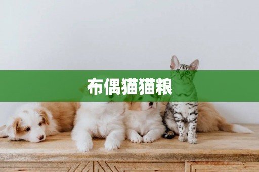 布偶貓貓糧