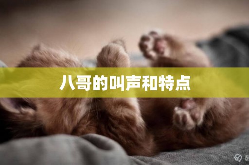 八哥的叫聲和特點