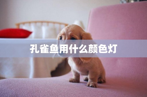 孔雀魚用什么顏色燈