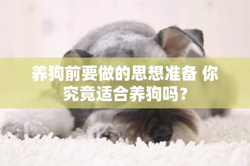 養狗前要做的思想準備 你究竟適合養狗嗎？
