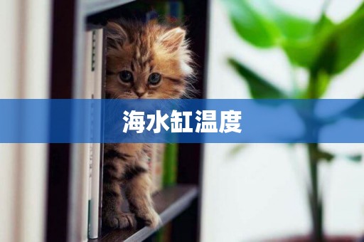 海水缸溫度