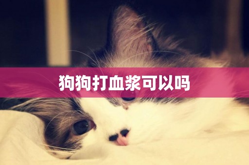 狗狗打血漿可以嗎